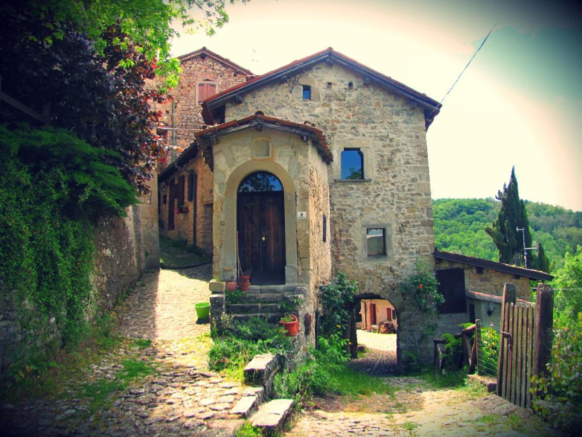 Peaceful Country Living At Apartments At Villa Clara Vimignano-Chiesa Kültér fotó